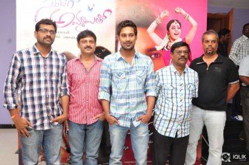 Saradhaga Ammaitho Movie Successmeet